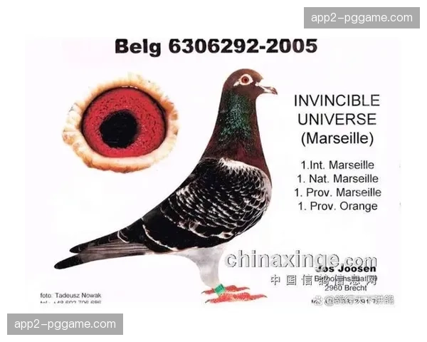 科隆后防轮换吃紧 范登伯格厄兹卡卡尔搭档中卫新组合